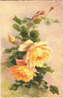 T2/T3 1930 Flowers S: C. Klein (EK) - Zonder Classificatie