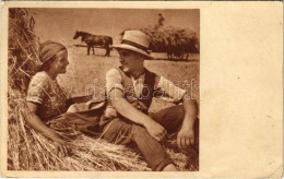 T2/T3 1953 Magyar Mezőgazdasági Propaganda / Hungarian Socialist Agricultural Propaganda (EB) - Non Classificati