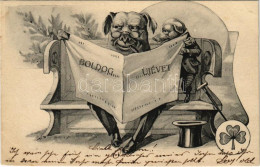 T2 1904 Boldog Új Évet! újságot Olvasó Malacok, Humor, Lóhere / New Year, Pigs Reading Newspapers, Humorr, Clover. Art N - Unclassified