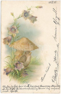 T2/T3 1901 Greeting Card With Bird, Mushroom And Flowers. Litho (EK) - Non Classificati