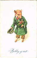 T2/T3 Boldog Újévet! / New Year Greeting Card With Pig Gentleman. Amag No. 1629. (fl) - Unclassified