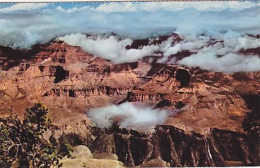 AK 182273 USA - Arizona - Grand Canyon National Park - Grand Canyon