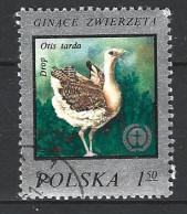 POLOGNE. N°2336 Oblitéré De 1977. Outarde. - Grues Et Gruiformes