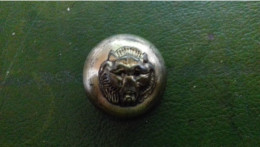 B10 /    ANCIEN BOUTON   TETE DE LION 22  MM METAL - Boutons