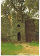 CP 83 - Monastère De La Verne - Porte Fortifiée De L'ancienne Chartreuse - Collobrieres