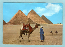 CP Egypte -  Giza - The Giza Pyramids -- Les Pyramides De Gizeh - Gizeh