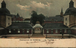 CARLSBOURG - Institut Agronomique -  Les Tourelles  (colorée) - Paliseul
