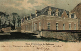 CARLSBOURG - Institut Agronomique -  École D'Horticulture (colorée) - Paliseul