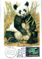 WWF  Card  NETHERLANDS  Panda Bear   /  Carte Postale  PAYS BAS  Pandas  -  1984 - Cartes-maximum