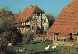 FRANCE - Ungersheim - Maison De Hésingue Et Locomobile - Carte Postale - Mulhouse