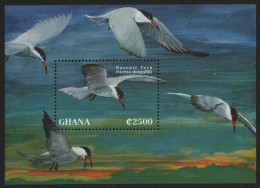 Ghana 1995 - Mi-Nr. Block 274 ** - MNH - Vögel / Birds - Ghana (1957-...)