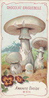 AMANITE OVOÏDE  Chromo Chocolat D'Aiguebelle - Champignons