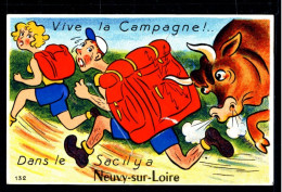 58 NEUVY SUR LOIRE - Vive La Campagne  - Dans Le Sac Il Y A Neuvy Sur Loire  - CPA  à Système - Sonstige & Ohne Zuordnung