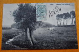 LEUZE-en-HAINAUT  -  Paysage à La Fontaine  -  1909 - Leuze-en-Hainaut