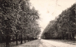 FRANCE - Parc Du Château De Chantilly - L'Allée De L'Entraînement - ND Phot - Carte Postale - Chantilly