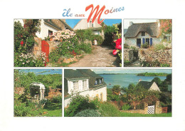 FRANCE - Île-aux-Moines - Les Maisons Fleuries De L'Île-aux-Moines - Carte Postale - Ile Aux Moines