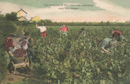 Thème VIN * Les Grappes Et Les Coeurs Se Cueillent Aux Vendanges * Vendangeurs Vin Vignes * PUB Le Petit Parisien Au Dos - Vignes