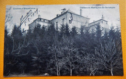 MONTIGNIES-SAINT-CHRISTOPHE  -  Le Château  -  1909 - Erquelinnes