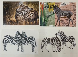 Lo De 25 Cartes Postales Monde Thème Zèbre - Zebra's