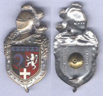 Insigne De La Compagnie De Circulation Routière De Gendarmerie Rhône Alpes ( Lion Blanc ) - Police