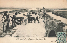 Les Salins D'hyères * Récolte Du Sel * Saline Salines Marais Salants Métier Attelage Wagon Cheval - Hyeres