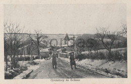 France - Gremecey Im Schnee - Chateau Salins