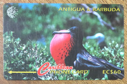 ANTIGUA & BARBUDA OISEAU EC$ 60 CARIBBEAN CABLE & WIRELESS SCHEDA PREPAID TELECARTE TELEFONKARTE PHONECARD - Antigua E Barbuda