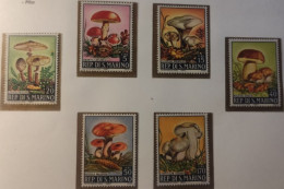 SAN MARINO 1967  FUNGHI SERIE COMPLETA - Neufs