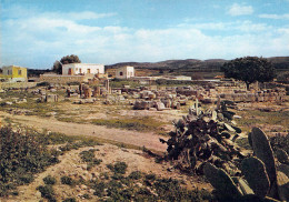 Kouklia - Ruines Du Fameux Temple De Vénus - Chypre