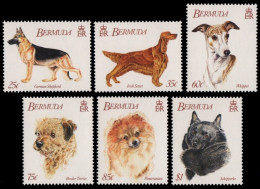 Bermuda 1992 - Mi-Nr. 621-626 ** - MNH - Hunde / Dogs - Bermuda