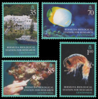 Bermuda 2003 - Mi-Nr. 849-852 ** - MNH - Meeresleben / Marine Life - Bermuda