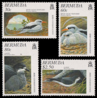 Bermuda 1997 - Mi-Nr. 723-726 ** - MNH - Vögel / Birds - Bermuda