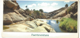 CPM, G.F. Espagne , Fuerteventura ,Ed. Tullio Gatti , Phot. Galery , Format 22 X 11 Cm - Fuerteventura