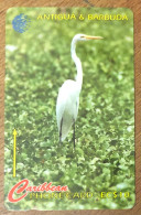 ANTIGUA & BARBUDA OISEAU GREAT EGRET EC$ 10 CARIBBEAN CABLE & WIRELESS SCHEDA PREPAID TELECARTE TELEFONKARTE PHONECARD - Antigua En Barbuda