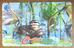 ANTIGUA & BARBUDA OISEAU MASKED DUCK EC$ 20 CARIBBEAN CABLE & WIRELESS SCHEDA PREPAID TELECARTE TELEFONKARTE PHONECARD - Antigua E Barbuda