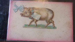 PORC PIG COCHON PORK - Schweine