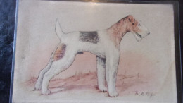 DOG CHIEN  FOX TERRIER ILLUSTRATEUR - Dogs