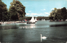 FRANCE - Annecy - Le Lac Et L'Ile Des Cygnes - Voiliers - Carte Postale - Annecy