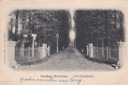 484370Oosterbeek, Oprijlaan Mariëndaal. 1903. (zie Hoeken) - Oosterbeek