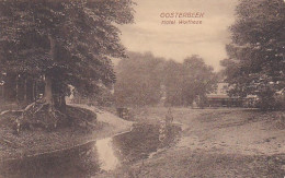 4843217Oosterbeek, Hotel Wolfheze. (zie Hoeken) - Oosterbeek