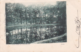 4843243Assen, Oude Vijver In ’t Stadsbosch. (poststempel 1901) - Assen