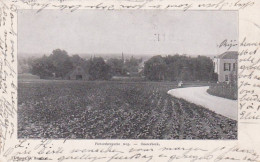 4843526Oosterbeek, Pietersbergsche Weg. (poststempel 1904) - Oosterbeek