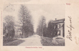 4843661Velp. Ommerhofsche Laan. (poststempel 1905)(zie Linksboven Een Scheurtje) - Velp / Rozendaal