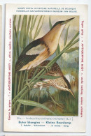 CP : Musée Royale D'histoire Naturelle De Belgique - Oiseaux - N°216 Butor Blongios + Pub - Signé Hub. Dupond (2 Scans) - Verzamelingen & Kavels