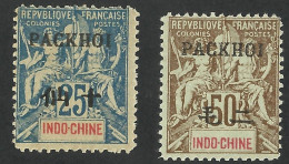 INDO-CHINE --PACKHOI--1902--MLH - Forgery , Faux Fournier - Unused Stamps