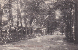 4842549't Jagertje In 't Bosch Bij Almelo.1917. - Almelo