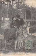 FRANCE - Robinson - Le Paradis Sous Les Cieux - Amoureux Sur Des Anes - Carte Postale Ancienne - Autres & Non Classés