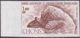 Essai De Couleur Taaf/fsat Oiseau Chionis Yvert PA 67 MNH ** - Non Dentellati, Prove E Varietà