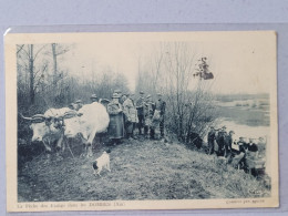 La Pêche  Des étangs Dans Les Dombes , Attelage De Boeufs - Nantua