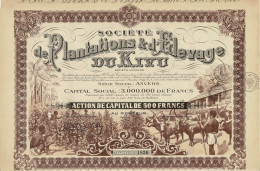 Titre De 1927 - Société De Plantations & D'Elevage Du Kivu - EF - Superbe Déco - - Afrika